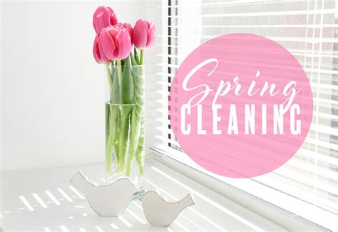 Spring Cleaning When You Dont Have Time Tpw186 The Productive Woman
