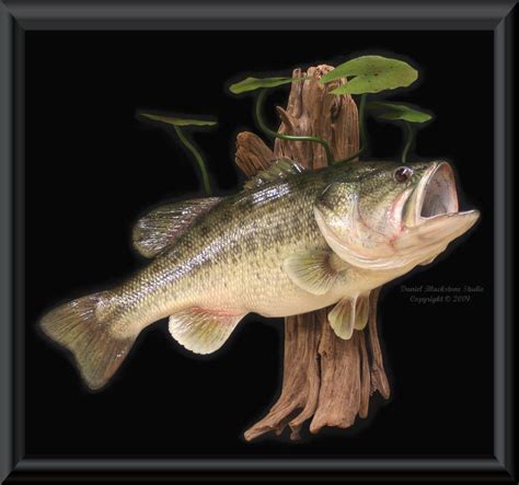 Largemouth Bass Fiberglass Fish Replicas And Reproductions Fish Mounts