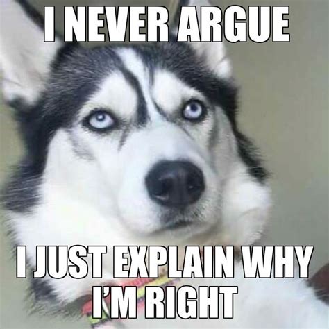Siberianhusky Husky Funny Dog Quotes Funny Husky Memes