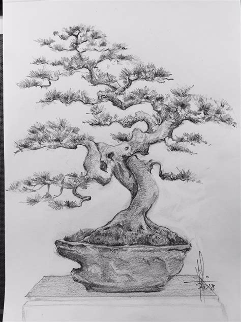 Aprende con los dibujos a dibujar los momentos hermosos de tu vida. Dibujo Bonsai a lápiz por Francisco Javier Abellán | Tree drawing, Tree sketches, Tree images