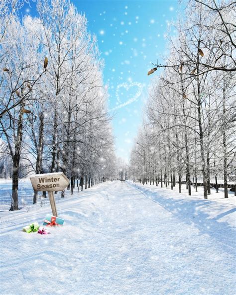Winter Wonderland Snow Trees Backgrounds For Sale Vinyl