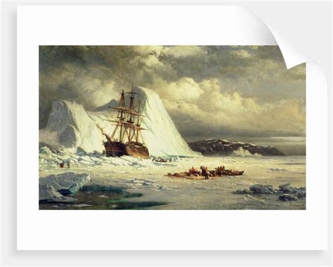 Icebound Ship C1880 Posters And Prints By William Bradford