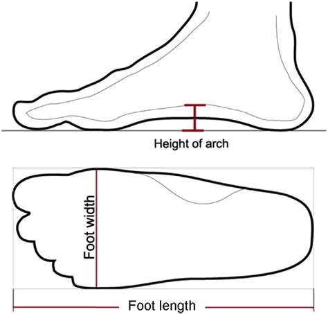 Foot Dimension Measurements In This Study Download Scientific Diagram