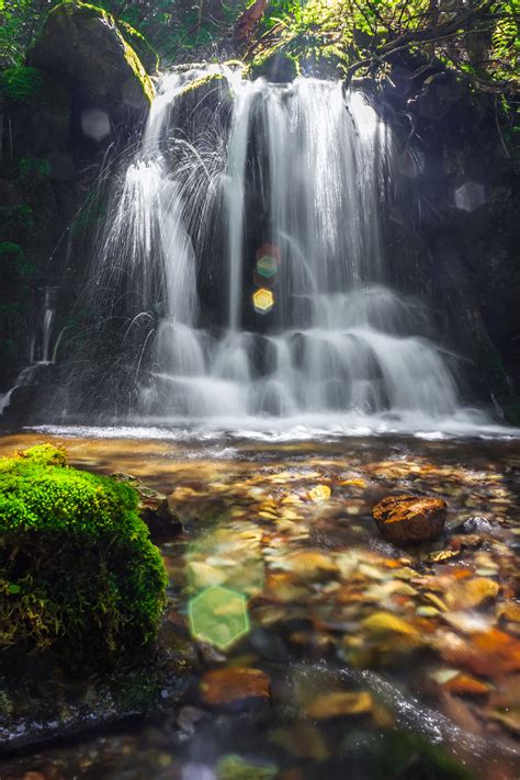 Mystical Waterfalls Pacific Northwest Living