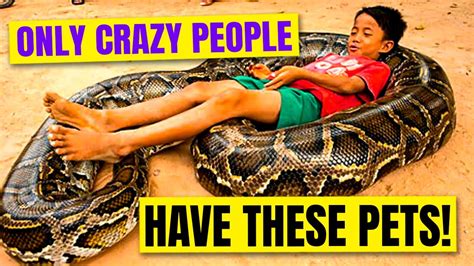 The Most Dangerous Pets You Never Knew Existed Youtube