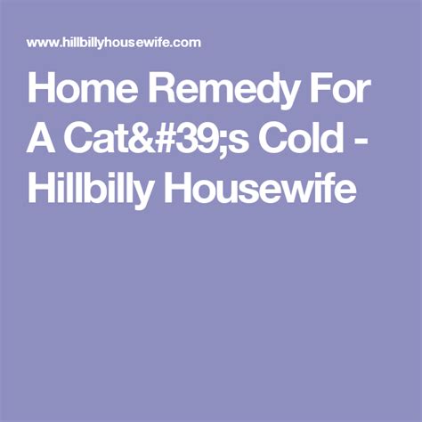 Home Remedy For A Cats Cold Cat Cold Home Remedies Cold