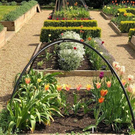 The Top 75 Flower Garden Ideas Landscaping Design