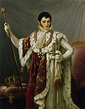 Jérôme Bonaparte | Napoleón bonaparte, Guerras napoleónicas, Siglos de oro
