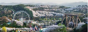 Everland Korea Theme Park - Seoul | Klook Travel