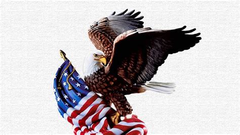 Great American Award American Flag Images Eagle Pictures American