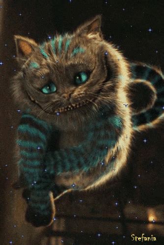 Cheshire Cat By Stefania Wallpapers Bonitos Coisas De Gato Gato Risonho