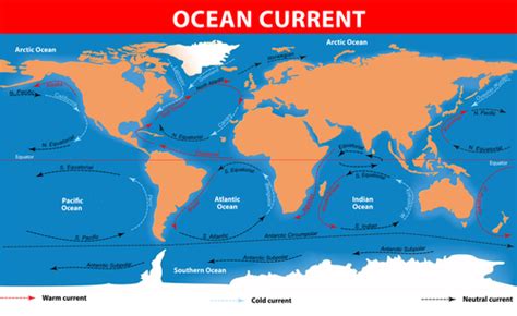 Wave Tides Currents An Important Distinction Earth