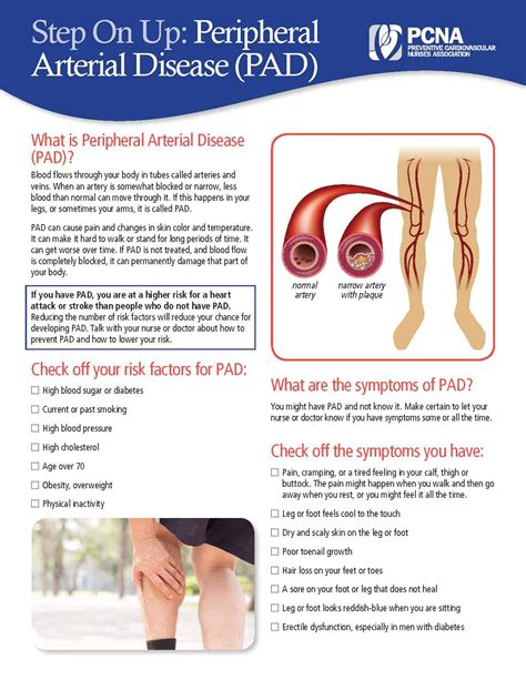 Peripheral Artery Disease Patient Education Pcna Pelajaran
