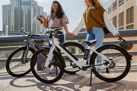 2022 Bird Bike Electric Commuter And Leisure Bike With Crossbar B