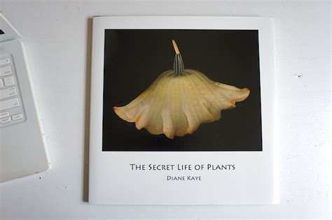 Indie Photobook Library The Secret Life Of Plants