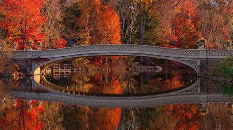 Beautiful Red Yellow Green Autumn Leaves Trees Bridge Above Lake