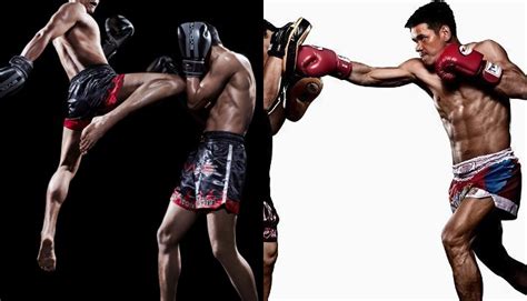 Evolve Muay Thai Is The Most Effective Striking Martial Art On The