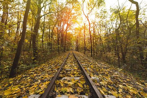 Railroad In Autumn Forest — Stock Photo © Viktoriasapata 171801736