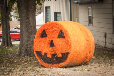 Halloween Night Nebraska Style Including A 800 Lb Pumpkin 3 Quarters