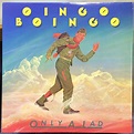 ONLY A LAD Oingo Boingo 1981 Vinyl LP Record SP-3250: Amazon.de: Musik ...
