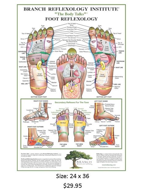 Foot Reflexology Acupressure Spots Map Therapeutic Massage Ideas Art