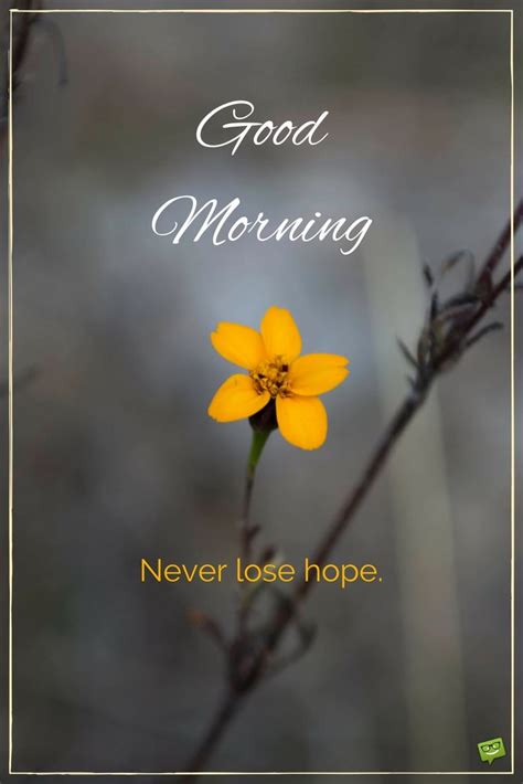 May your day be filled with positive things and full of blessings. Fresh Inspirational Good Morning Quotes for the Day - Part 3