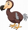 Cartoon dodo bird on white background 8734677 Vector Art at Vecteezy