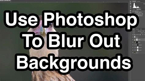 Use Photoshop To Blur Out Backgrounds Youtube