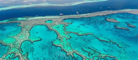 Great Barrier Reef Private Tour Enchanting Travels