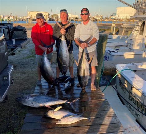 Offshore Action Heating Up Outer Banks Fishing Charters