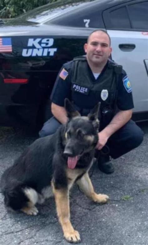 Rehoboth Police Department Reviving K9 Unit Local News