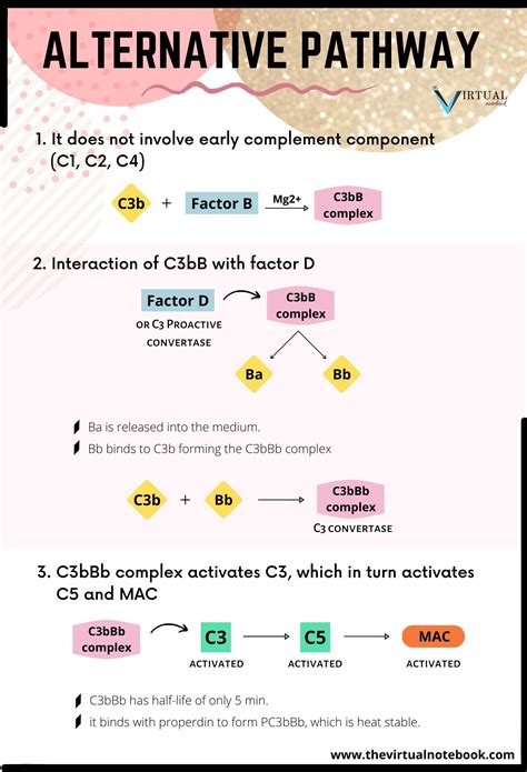 The Complement System Pathways Regulations