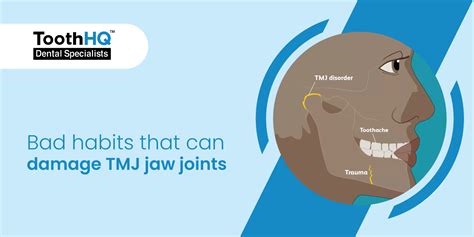 Bad Habits That Can Damage Tmj Jaw Joints Toothhq Dental Specialists