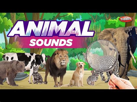 Animal Names And Sounds For Kids Learn Animal Names For Children