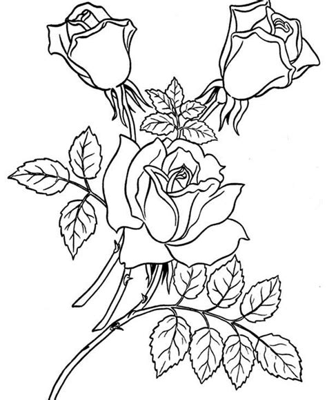 Youre in the right place for free printable flower coloring pages for kids. Three Beautiful Rose Coloring Page - Download & Print Online Coloring Pages for Free | Color Nimbus