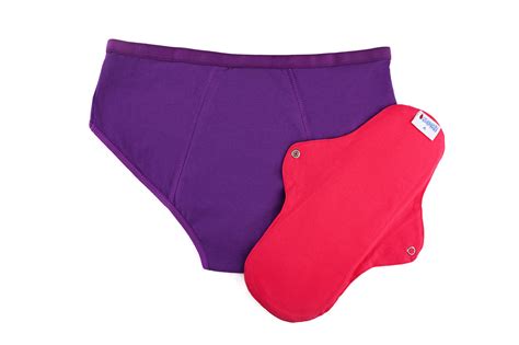 Period Panty By Soch Purple Stonesoup Shop