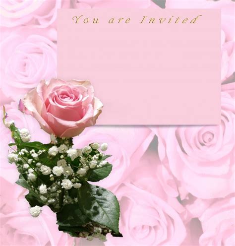 Pink Rose Invitation Free Stock Photo Public Domain Pictures