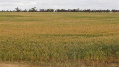 Driest September On Record Through Murray Darling Basin Farm Online Act