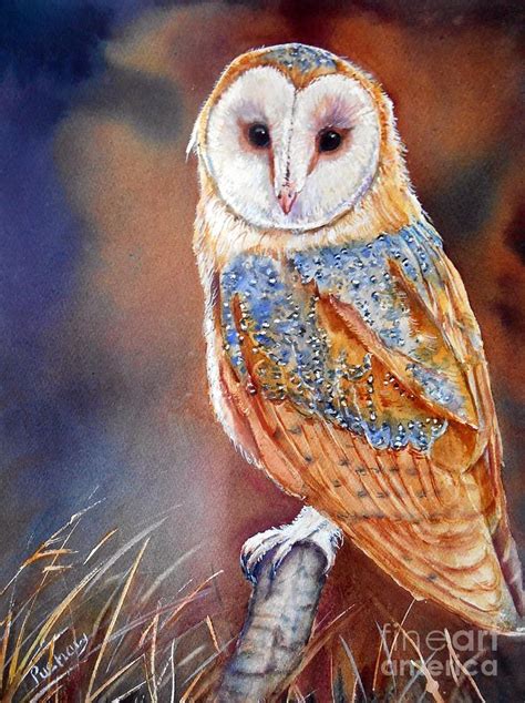 Barn Owl Painting By Patricia Pushaw Fine Art America