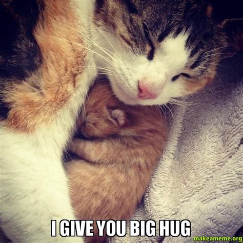 A big hug for you. i give you big hug | Make a Meme