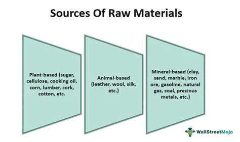 Raw Materials Meaning Types Examples Accounting