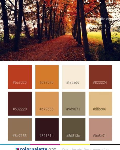 fall color palette rustic color palettes fall colors