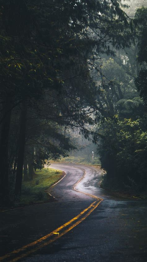 Nature Road Green Forest Trees Iphone Wallpaper Iphone Wallpapers