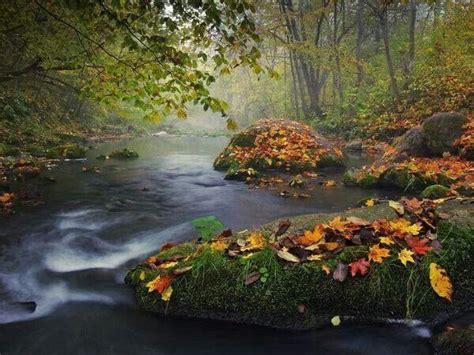 Peaceful Autumn Nature Scenes Pinterest