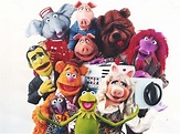 Muppets Tonight - Muppet Wiki