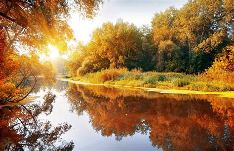 Autumn Landscape Nature Grove Forest River Sun Hd Wallpaper