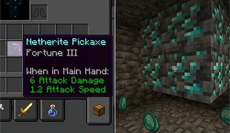 what does fortune do on a hoe in minecraft