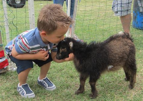 All ages will enjoy this! 8 sick: Minnesota preliminary test results of petting zoo ...