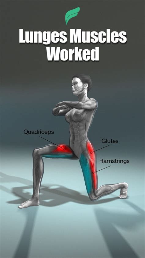 Lunges Muscles Worked Total Body Workout