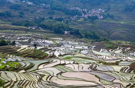 Terraced Rice Fields In Yuanyang County Yunnan China Stock Photo